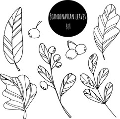 Hand drawn abstract simple scandinavian style elements leaves set. Black and white vector doodle for the design of postcards, posters, fabrics, coloring books, wrapping paper, templates.