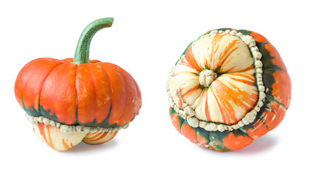 Orange-green decorative pumpkin isolated on a white background. Autumn harvest season.