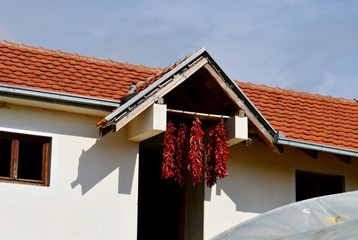 drying red peppers in the village