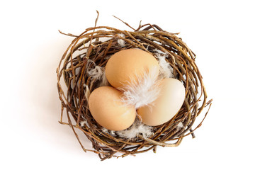 Brown chicken eggs and feathers in nest on white background. Easter concept, top view