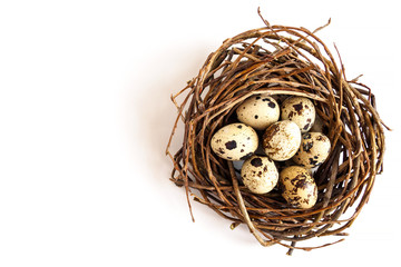Obraz premium Top view of quail eggs in nest on white background. Easter concept, copy space for text
