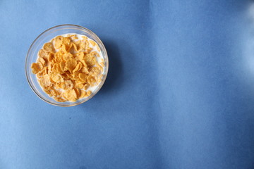 cornflakes in bowl plate on blue background
