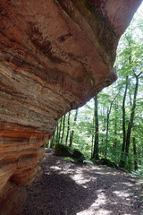 Sandsteinfelsen bei Lemberg im Pfälzer Wald