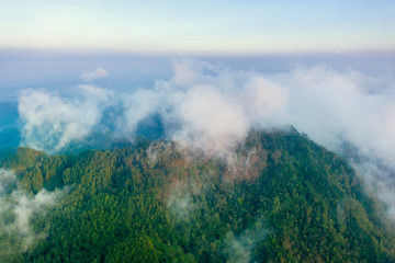 Beautiful green tropical forest at misty morning