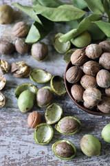 Walnuts. Harvest walnuts. Selective focus. Macro.