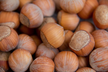 Food background. Hazelnuts texture. Top view . Hazelnut Nut Health Organic Brown Filbert Autumn Background Concept . Hazelnuts. Stack of hazelnuts.