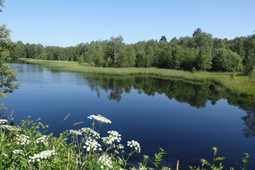 Rotes Moor in der Rhön