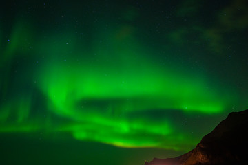 Fototapeta premium beautiful aurora boreal in Lofoten Islands