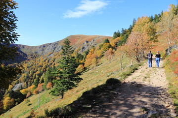 Fototapeta na wymiar Sentier de la vallée de Munster en automne (Hohneck)