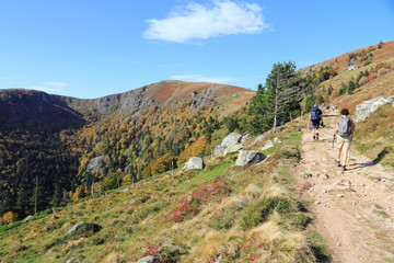 Fototapeta premium Sentier de la vallée de Munster en automne (Hohneck)