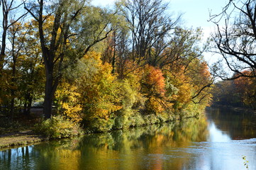 Autumn and river in the park