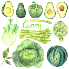 Clip Art with green vegetables, leaves, artichoke,  asparagus, avocado, watermelon, fennel, cabbage green pepper. Hand drawn watercolor illustration.