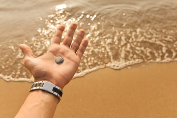 hands on sea shell