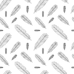 Feathers pattern contour vector illustration isolated