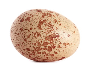 Egg isolated on white background