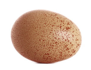 Egg isolated on white background