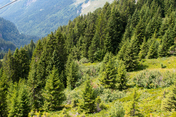 Montagne en été