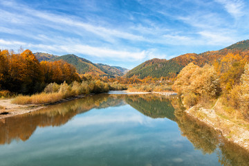 Fototapeta na wymiar Autumn panorama of mountain river, autumn in Carpathians, yellow mountains, Carpathians, Ukraine