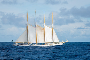 Tall ship with sails at sea