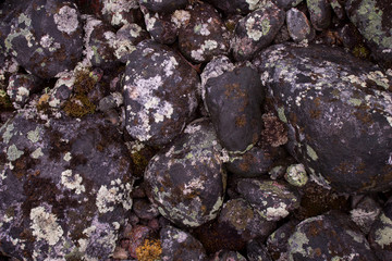 stones in water