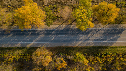 Drone's Eye Autumn road: aerial top down view of lane between foliage tree