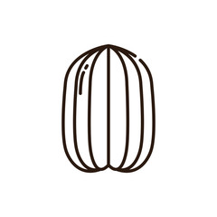 Isolated star fruit icon line vector design