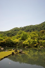 Fototapeta na wymiar Etant dans un parc japonais, avec forêt verte, buissons taillés