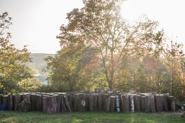 Baumstämme zu Brennholz gesägt © focus finder