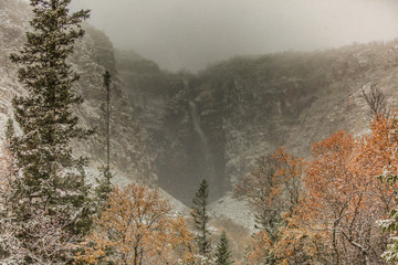 Viewpoint with view of Njupeskär waterfall in Fulufjället National Park in Sweden in dense snow showers with large snowflakes and conifers and deciduous trees in the foreground
