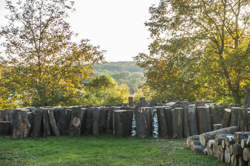 Baumstämme zu Brennholz gesägt © focus finder