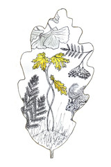 Squirrel among the trees of the autumn forest, in the frame of an oak leaf. Autumn fairy tale. Liner hand drawn illustration