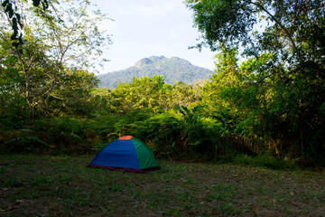 Tent in the Jungle