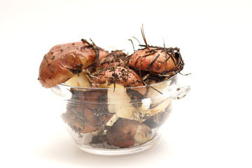 Suillus mushrooms in a transparent glass bowl isolated on a white background. Armful of dirty, unpeeled, butter fungi