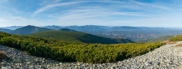 beautiful panorama with alpine pine and mountains under blue sky