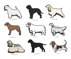 Dog breed set vector illustration 