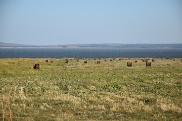 Meadows were cut on the shore of the gulf, and mowed grass was formed into round haystacks. Dry haystacks are twisted into rollers.