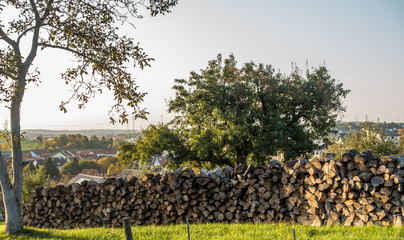 Baumstämme zu Brennholz gesägt und gestapelt © focus finder