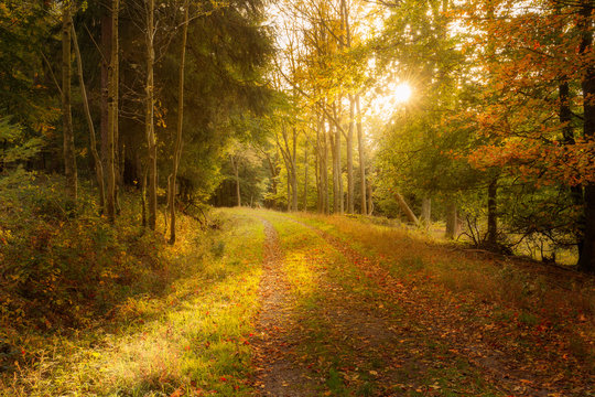 solingen, m&uuml;ngstener, br&uuml;cke, diederichstempel, wuppertal, wupper, bergisches, burg, aussichtspunkt, land, wald, herbst, herbstfarben, haus, fachwerk, tempel, idylle, idyllisch, nordrhein, westfalen, 