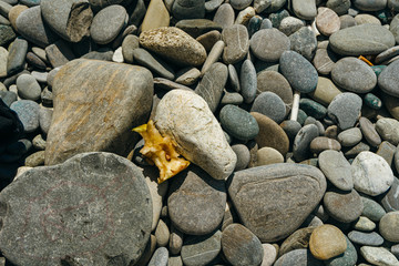trash on the beach. Ecology disaster. 