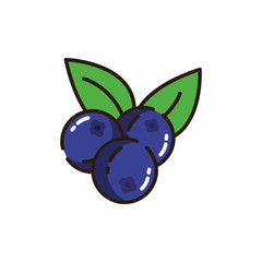 Isolated blueberries icon fill vector design