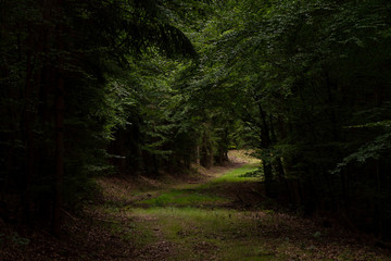 Obraz premium odenwaldweg