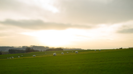 feld mit heuballen