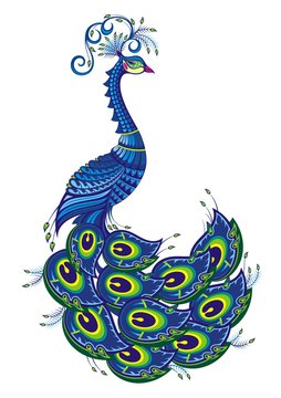 Vector illustration of peacock. Fantasy bird