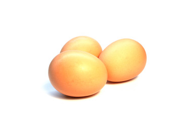 Chicken eggs on a white background