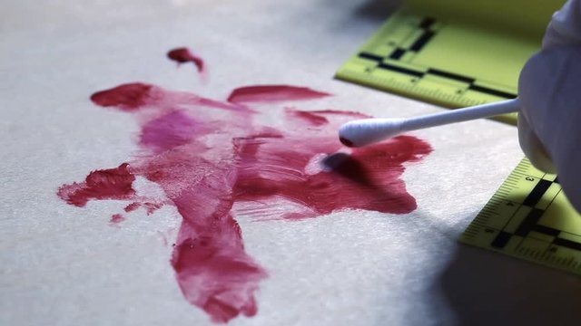 Macro shot of forensic csi police officer collecting blood sample with buccal swap as evidence on crime scene
