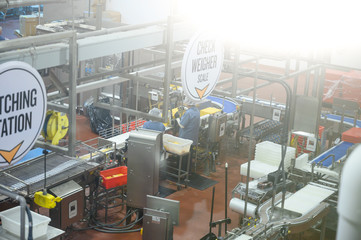 Milk production and factory, a large production of the United States. Cheeses, Milk, ice cream, Sour cream. Quality control, conveyor