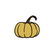 Yellow pumpkin with a twisted stalk on a white background. Single hand drawn pumpkin. Element for postcard, sticker.