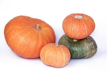 Pumpkins of different grades and sizes on a white background.