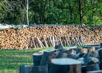 Baumstämme zu Brennholz gesägt und gestapelt © focus finder