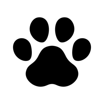 dog paw footprint icon vector french bulldog cartoon symbol character illustration design